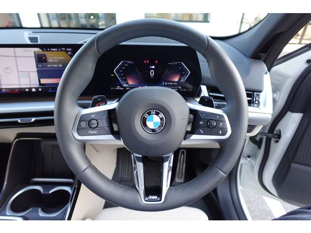 ＢＭＷ Ｘ２ Ｘドライブ２０Ｉ Ｍスポーツ ４ＷＤ R6年 (近畿) 99