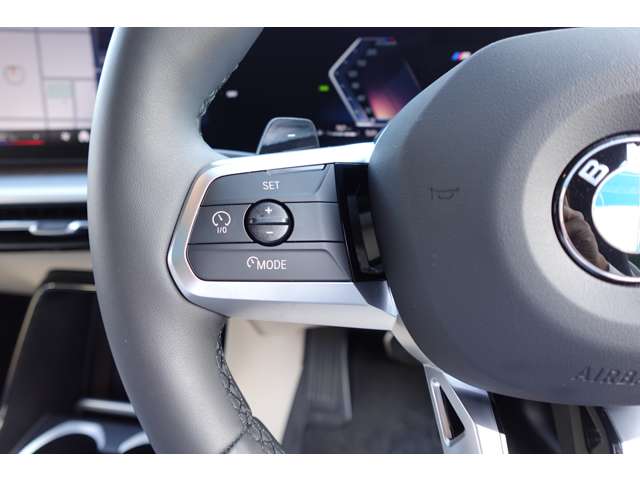 ＢＭＷ Ｘ２ Ｘドライブ２０Ｉ Ｍスポーツ ４ＷＤ R6年 (近畿) 99