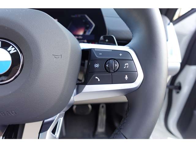 ＢＭＷ Ｘ２ Ｘドライブ２０Ｉ Ｍスポーツ ４ＷＤ R6年 (近畿) 99