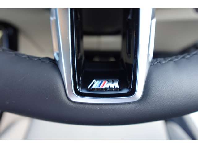 ＢＭＷ Ｘ２ Ｘドライブ２０Ｉ Ｍスポーツ ４ＷＤ R6年 (近畿) 99