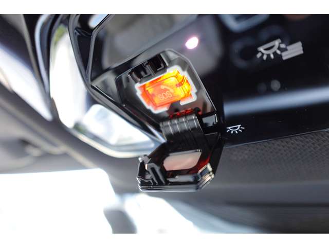 ＢＭＷ Ｘ２ Ｘドライブ２０Ｉ Ｍスポーツ ４ＷＤ R6年 (近畿) 99