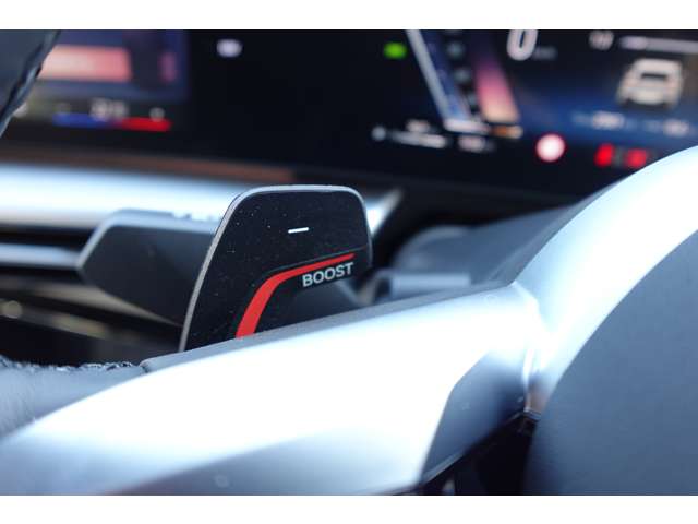 ＢＭＷ Ｘ２ Ｘドライブ２０Ｉ Ｍスポーツ ４ＷＤ R6年 (近畿) 99