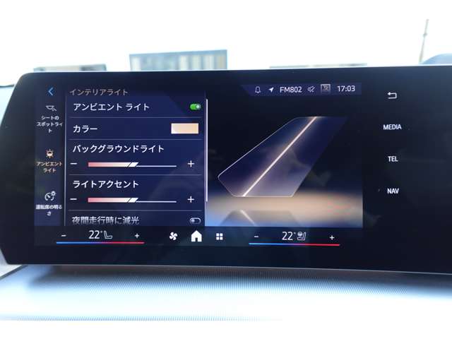 ＢＭＷ Ｘ２ Ｘドライブ２０Ｉ Ｍスポーツ ４ＷＤ R6年 (近畿) 99