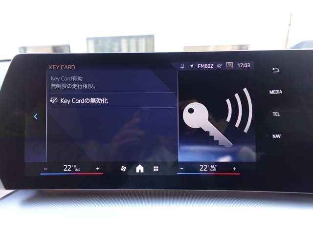 ＢＭＷ Ｘ２ Ｘドライブ２０Ｉ Ｍスポーツ ４ＷＤ R6年 (近畿) 99