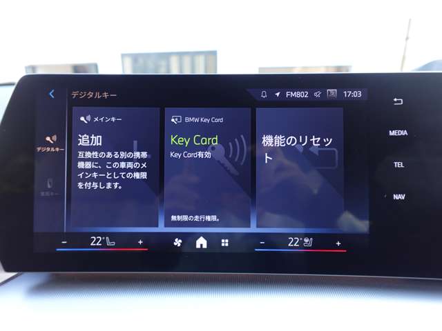 ＢＭＷ Ｘ２ Ｘドライブ２０Ｉ Ｍスポーツ ４ＷＤ R6年 (近畿) 99