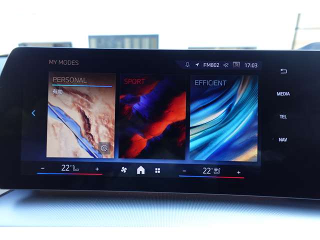 ＢＭＷ Ｘ２ Ｘドライブ２０Ｉ Ｍスポーツ ４ＷＤ R6年 (近畿) 99