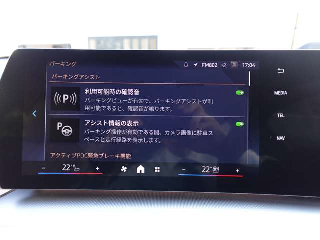 ＢＭＷ Ｘ２ Ｘドライブ２０Ｉ Ｍスポーツ ４ＷＤ R6年 (近畿) 99