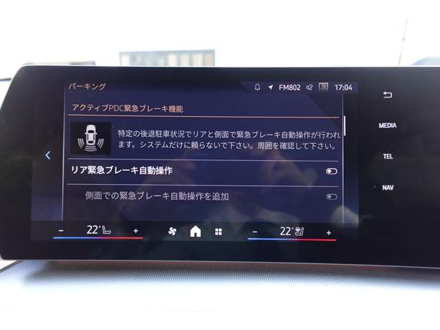 ＢＭＷ Ｘ２ Ｘドライブ２０Ｉ Ｍスポーツ ４ＷＤ R6年 (近畿) 99