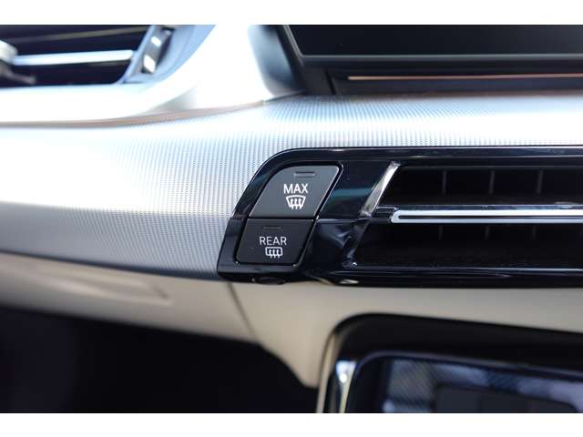 ＢＭＷ Ｘ２ Ｘドライブ２０Ｉ Ｍスポーツ ４ＷＤ R6年 (近畿) 99