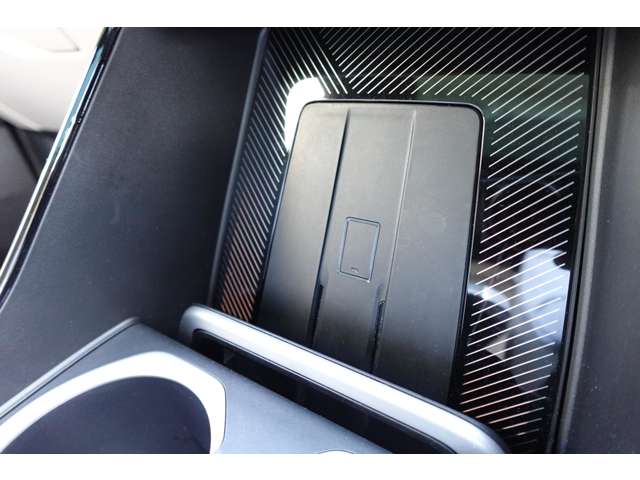 ＢＭＷ Ｘ２ Ｘドライブ２０Ｉ Ｍスポーツ ４ＷＤ R6年 (近畿) 99