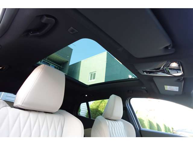 ＢＭＷ Ｘ２ Ｘドライブ２０Ｉ Ｍスポーツ ４ＷＤ R6年 (近畿) 99