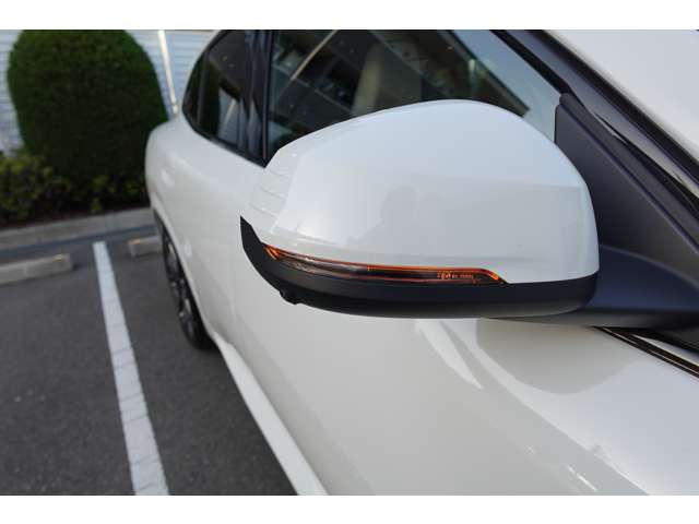 ＢＭＷ Ｘ２ Ｘドライブ２０Ｉ Ｍスポーツ ４ＷＤ R6年 (近畿) 99