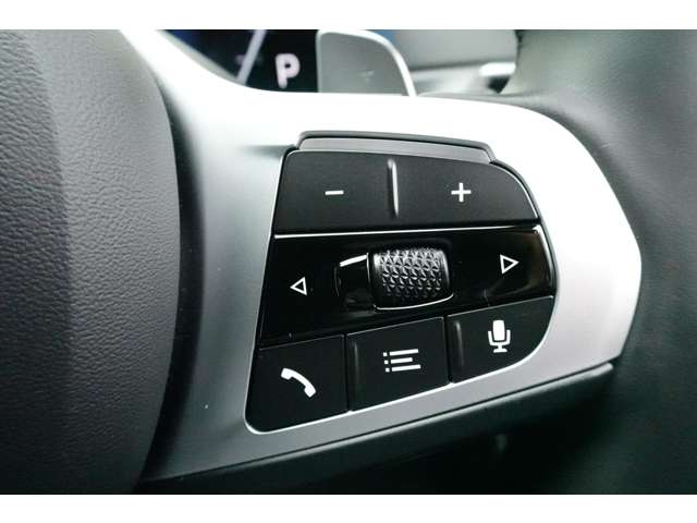 ＢＭＷ ３シリーズ ３２０Ｄ Ｘドライブ Ｍスポーツ ディーゼルターボ ４ＷＤ R6年 (近畿) 99