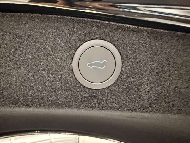 テスラ モデル３ ベースグレード R6年 (関東) 99