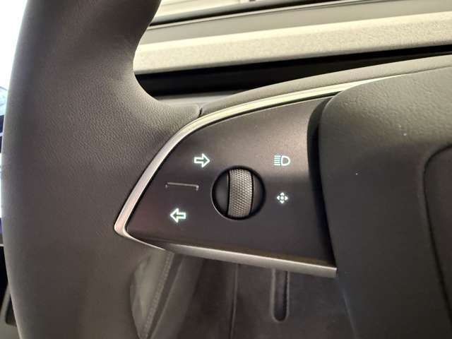 テスラ モデル３ ベースグレード R6年 (関東) 99