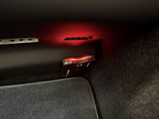 テスラ モデル３ ベースグレード R6年 (関東) 99