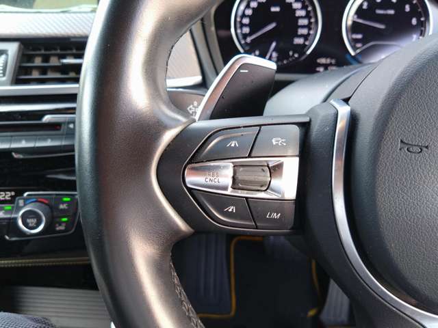 ＢＭＷ Ｘ２ Ｘドライブ２０Ｉ ＭスポーツＸ ４ＷＤ H30年 (東北) 99