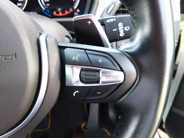 ＢＭＷ Ｘ２ Ｘドライブ２０Ｉ ＭスポーツＸ ４ＷＤ H30年 (東北) 99