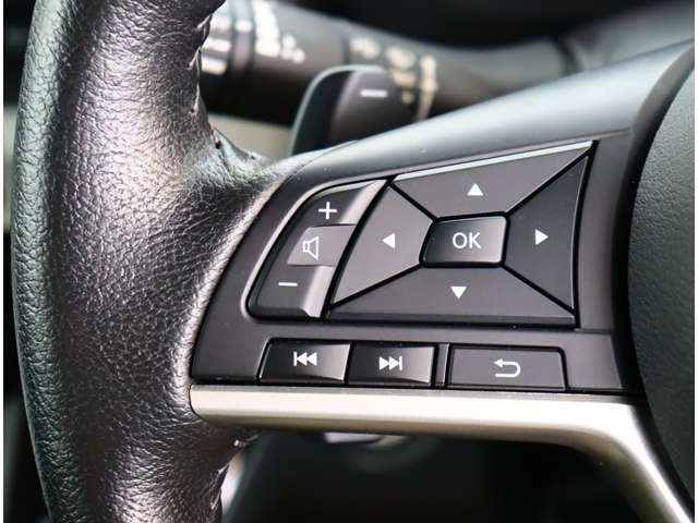 三菱 デリカ　ミニ ６６０ Ｔ プレミアム R6年 (関東) 99