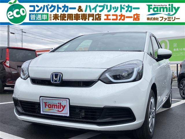 ホンダ フィット　ハイブリッド １．５ Ｅ：ＨＥＶ ホーム R6年 (東海) 99