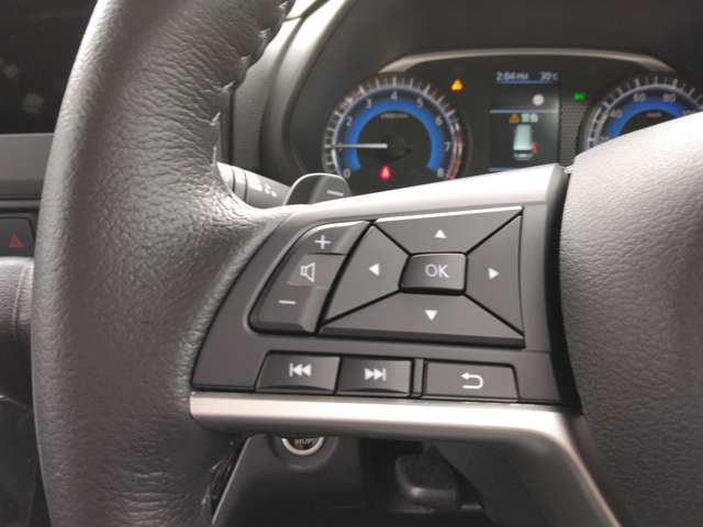 三菱 デリカ　ミニ ６６０ Ｔ プレミアム ４ＷＤ R7年 (関東) 99