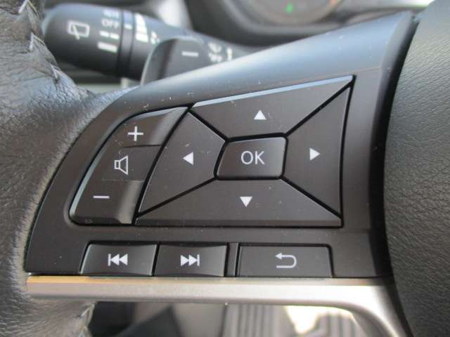 三菱 デリカ　ミニ ６６０ Ｔ プレミアム ４ＷＤ R6年 (中国) 99