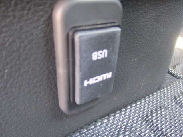 三菱 デリカ　ミニ ６６０ Ｔ プレミアム ４ＷＤ R6年 (中国) 99