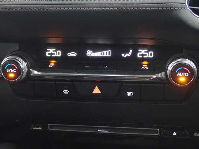 マツダ ＭＡＺＤＡ３　セダン ２．０ ２０Ｓ プロアクティブ R1年 (関東) 99