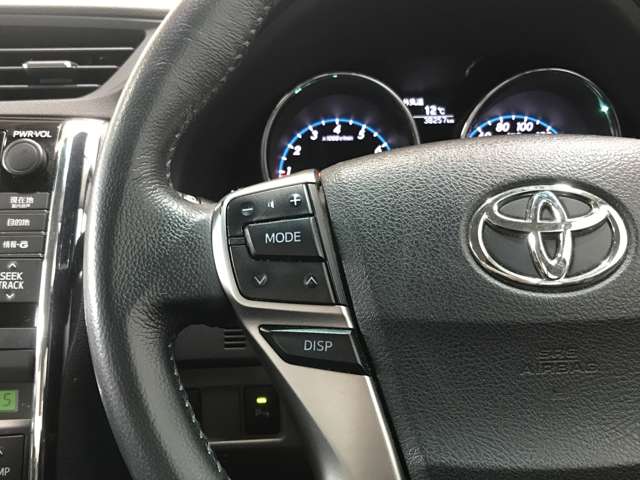 トヨタ マークＸ ２．５ ２５０Ｇ ＦＯＵＲ ４ＷＤ H21年 (北海道) 99