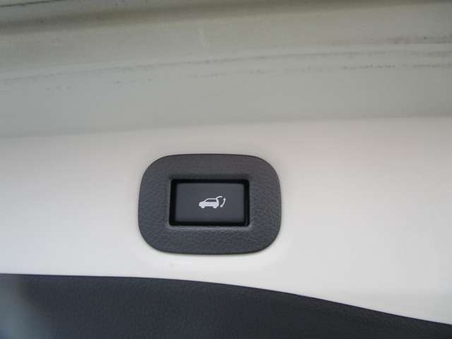 日産 エクストレイル　ハイブリッド ２．０ ２０Ｘ ハイブリッド エマージェンシーブレーキパッケージ H29年 (中国) 99