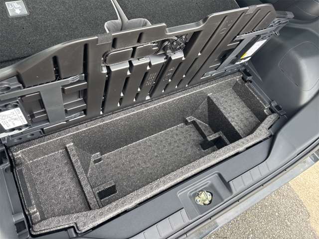 ダイハツ タント ６６０ Ｌ R6年 (近畿) 99