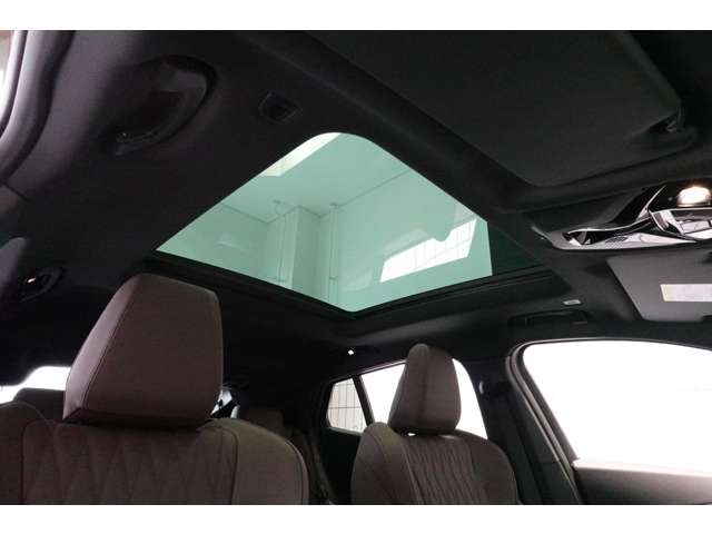 ＢＭＷ ｉＸ２ Ｘドライブ３０ Ｍスポーツ ４ＷＤ R6年 (近畿) 99