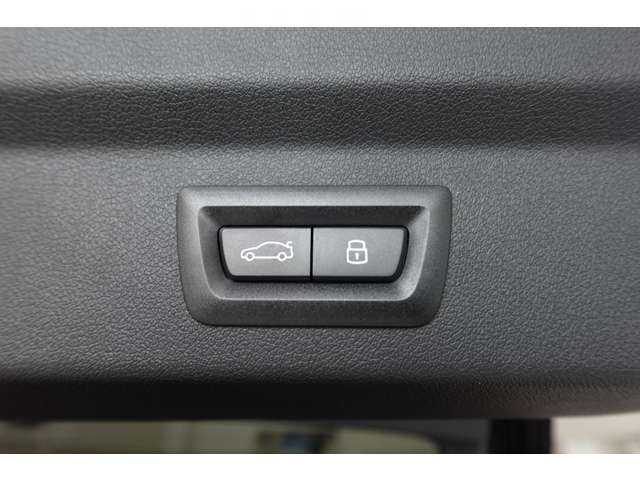 ＢＭＷ ｉＸ２ Ｘドライブ３０ Ｍスポーツ ４ＷＤ R6年 (近畿) 99