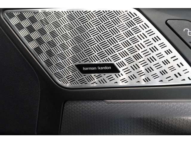 ＢＭＷ ｉＸ２ Ｘドライブ３０ Ｍスポーツ ４ＷＤ R6年 (近畿) 99