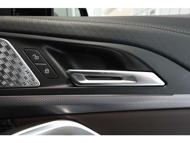 ＢＭＷ ｉＸ２ Ｘドライブ３０ Ｍスポーツ ４ＷＤ R6年 (近畿) 99