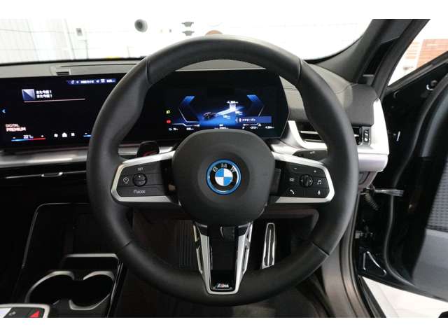 ＢＭＷ ｉＸ２ Ｘドライブ３０ Ｍスポーツ ４ＷＤ R6年 (近畿) 99