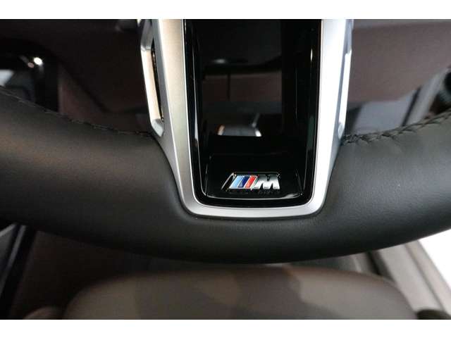 ＢＭＷ ｉＸ２ Ｘドライブ３０ Ｍスポーツ ４ＷＤ R6年 (近畿) 99