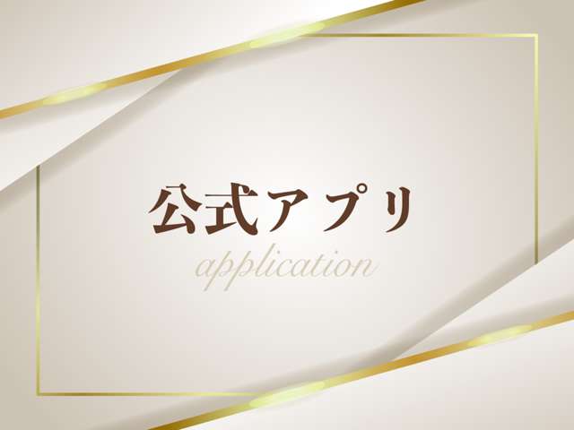 トヨタ アルファード ２．５ Ｓ Ａパッケージ H28年 (関東) 99