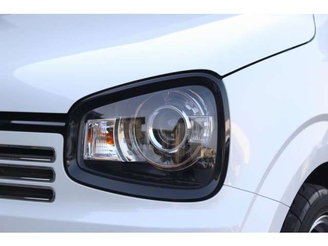 スズキ アルトワークス ワークス ６６０ R2年 (関東) 99