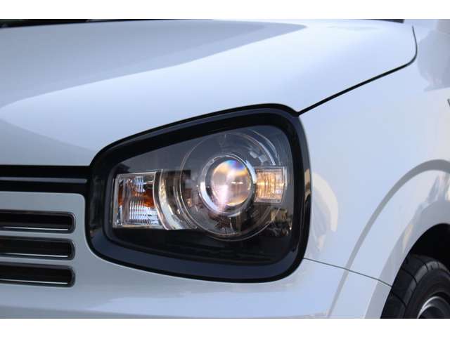 スズキ アルトワークス ワークス ６６０ R2年 (関東) 99