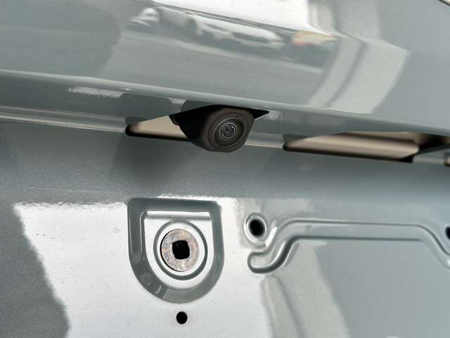 ダイハツ タフト ６６０ Ｘ R6年 (中国) 99