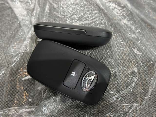 ダイハツ タント ６６０ Ｌ R5年 (中国) 99