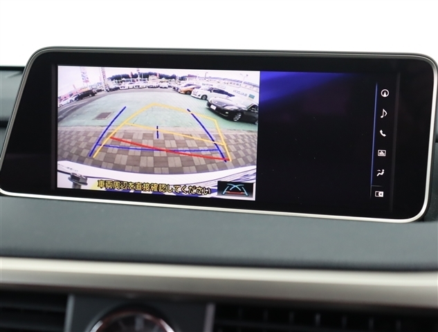 レクサス ＲＸ３００ Ｆスポーツ H30年 (関東) 99