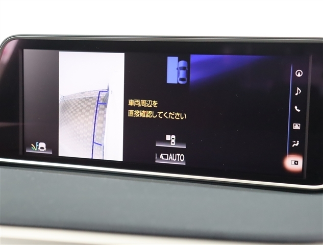 レクサス ＲＸ３００ Ｆスポーツ H30年 (関東) 99