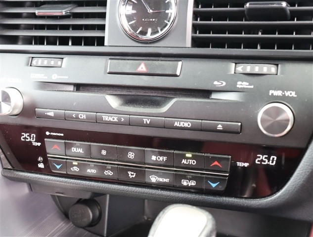 レクサス ＲＸ３００ Ｆスポーツ H30年 (関東) 99