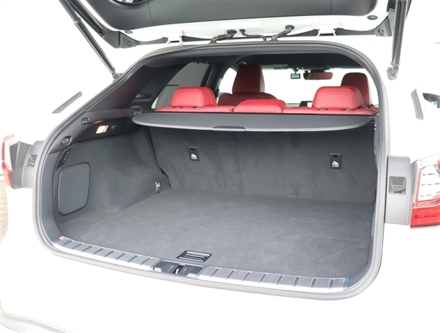 レクサス ＲＸ３００ Ｆスポーツ H30年 (関東) 99