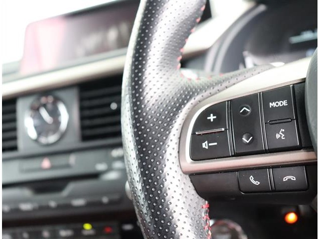 レクサス ＲＸ３００ Ｆスポーツ H30年 (関東) 99