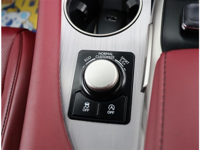 レクサス ＲＸ３００ Ｆスポーツ H30年 (関東) 99