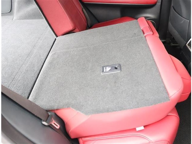 レクサス ＲＸ３００ Ｆスポーツ H30年 (関東) 99