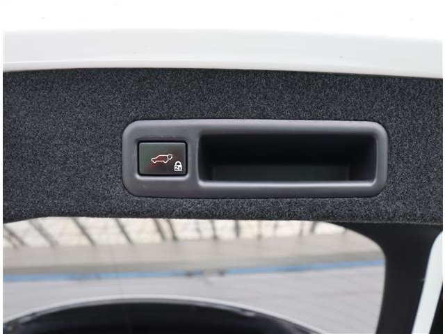 レクサス ＲＸ３００ Ｆスポーツ H30年 (関東) 99